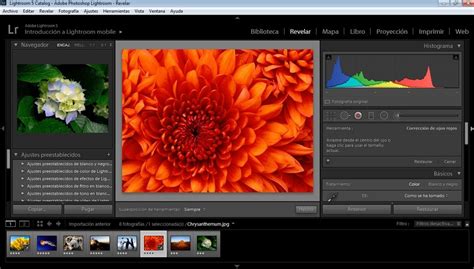 Adobe Lightroom 2025 Free Download Link
